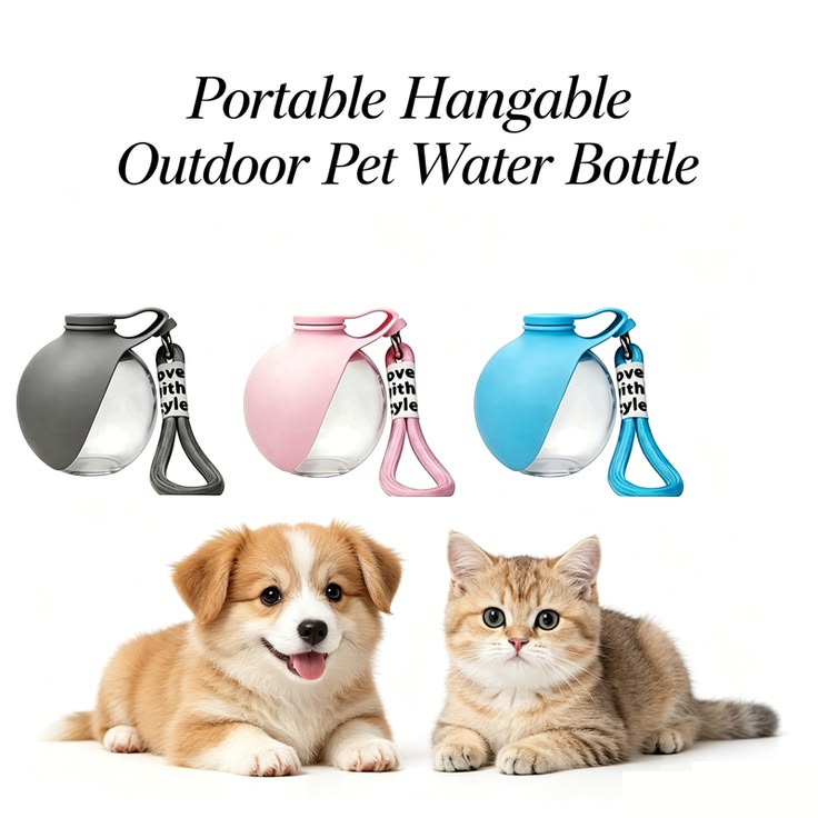 Portable pet water bottle