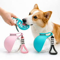Portable pet water bottle